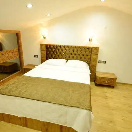 Bagceciler 2 Vilă *